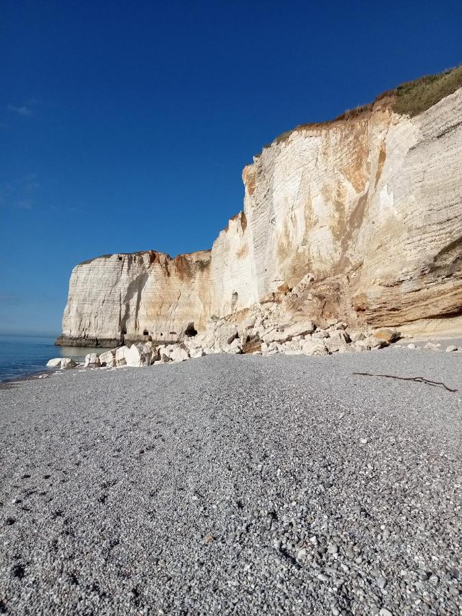 Les Charmes Du Bosquet Parc D'Amour Et Nature Parking Prive Securise Étretat Exterior foto