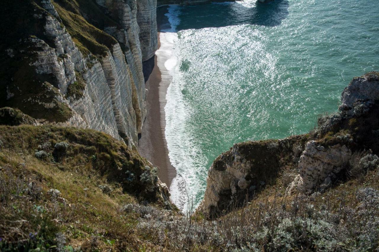 Les Charmes Du Bosquet Parc D'Amour Et Nature Parking Prive Securise Étretat Exterior foto